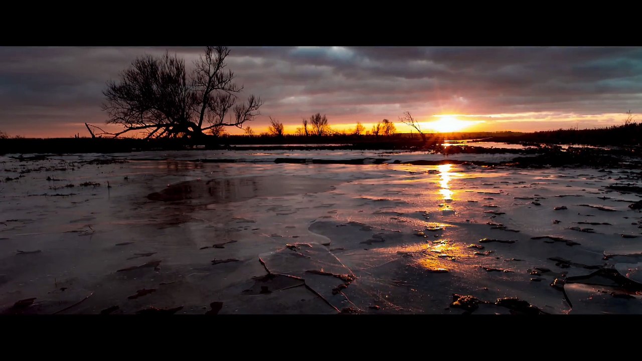 De Nieuwe Wildernis: Trailer HD