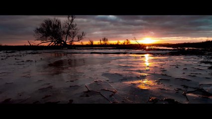 De Nieuwe Wildernis: Watch the Stunning HD Trailer 🌿