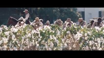 12 Years A Slave: Trailer HD OV ned ond
