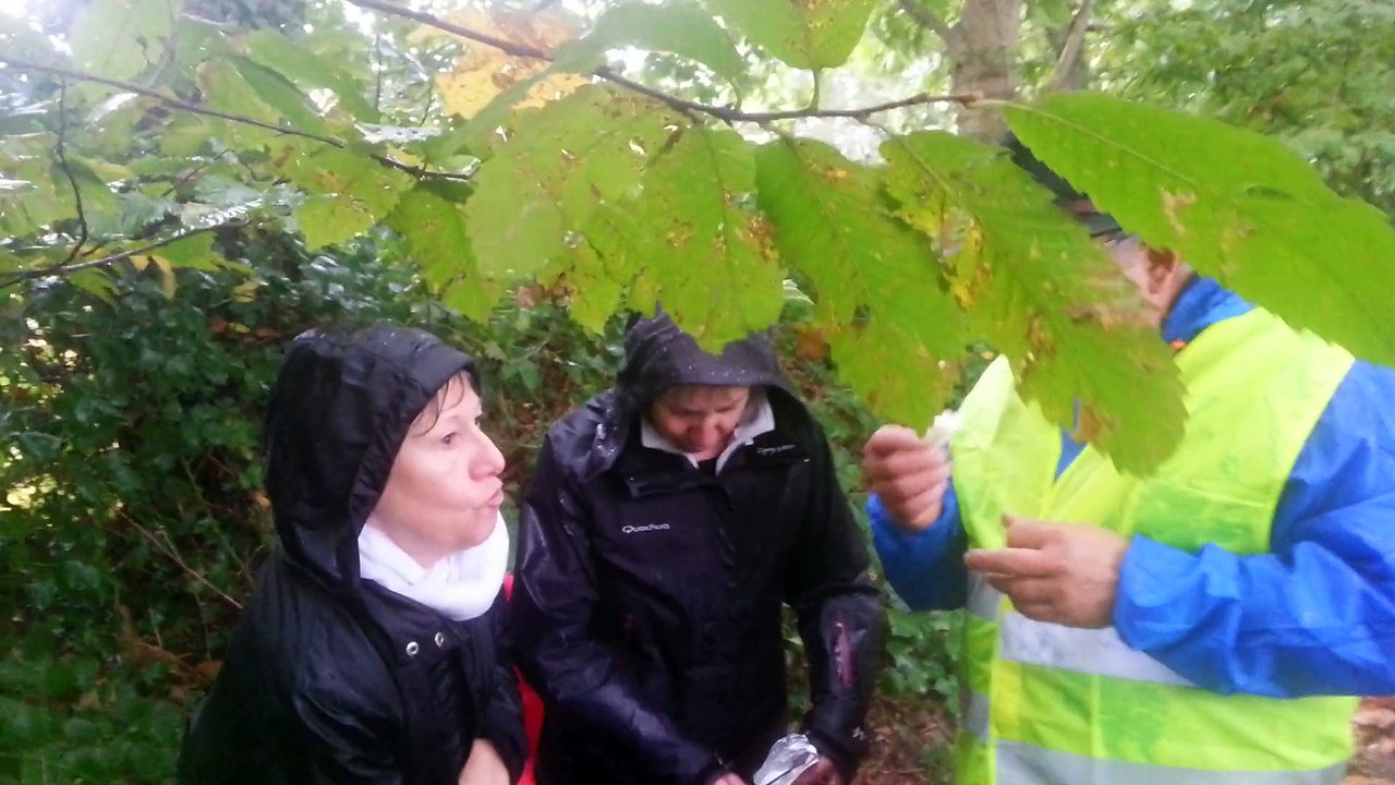 20141012_105142