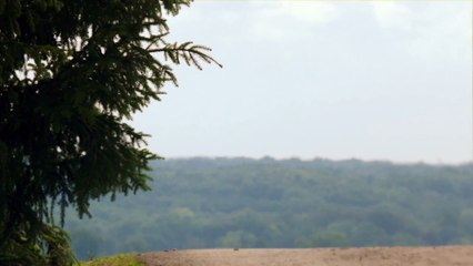 Into the Storm: Trailer HD OV ned ond