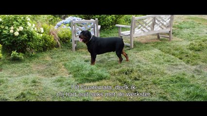 And So It Goes: Trailer HD OV ned ond