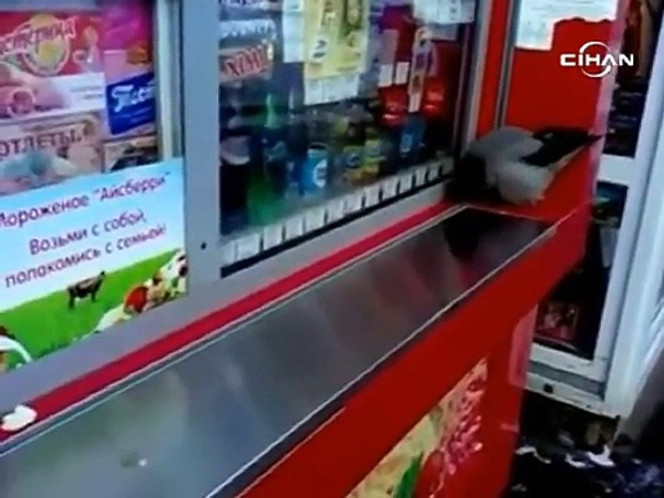 Dilenci karga
