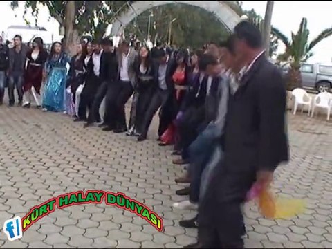 BU HALAYI İLK DEFA GÖRENLER Bİ TEK BEN DEĞİLİM HERHALDE