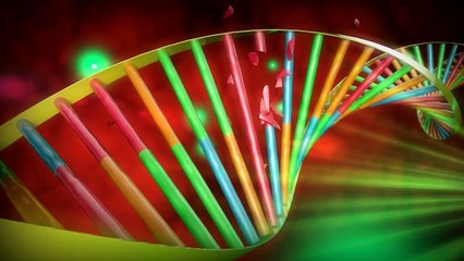 WEDECO DURON UV Dezenfeksiyon