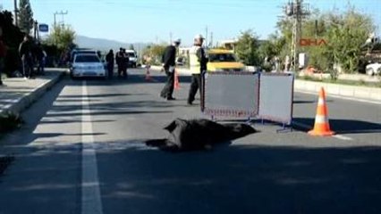 Muğla Yolun Karşısına Geçmek İsterken Canından Oldu