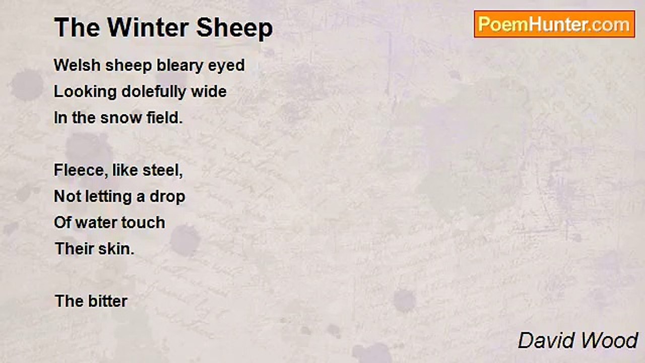 David Wood - The Winter Sheep