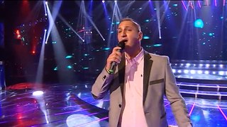 Ivan Kurtic-2014-Sadrvani (Pinkove Zvezde)