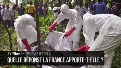 Quel dispositif anti-Ebola la France met-elle en place ?