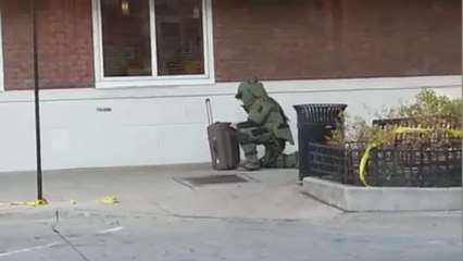 Original Prankster (Bloomingorlando Music Video)