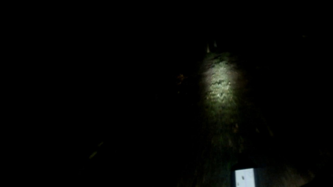 xenon inside