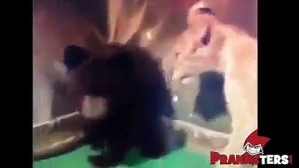 Frightening friends top pranks