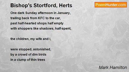 Mark Hamilton - Bishop's Stortford, Herts