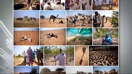 Espai Terra. Dilluns 3 de novembre.