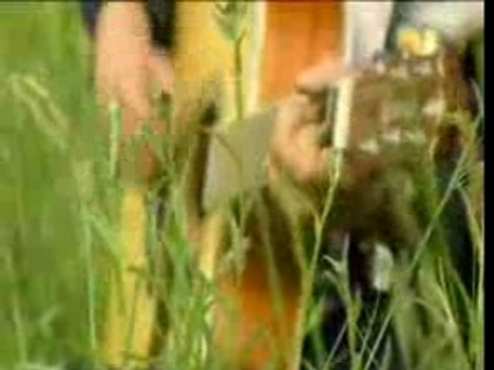 Pete Doherty Fuck Forever in fields!