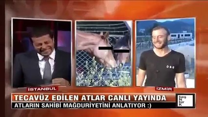 Tecavüzün böylesi - 5 Beygir 1 Eşek