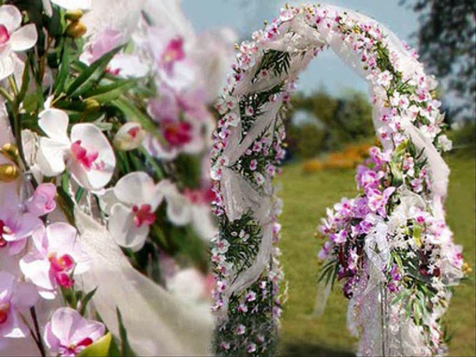 Струнный квартет  Гравитация-String quartet Gravitation/ Свадебные церемонии