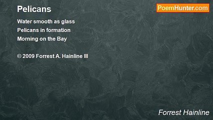 Forrest Hainline - Pelicans