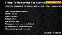 Shalom Freedman - I Tried To Remember The Sadness Of All The Poems I Had Not Written