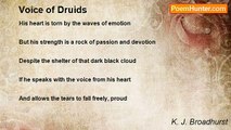 K. J. Broadhurst - Voice of Druids