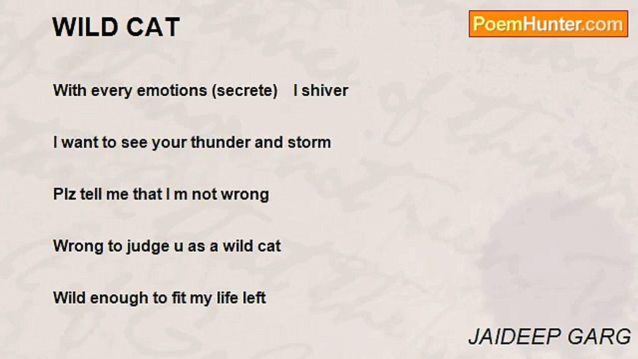 JAIDEEP GARG - WILD CAT