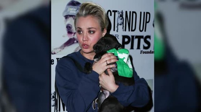 Kaley Cuoco, Kelly Brook et Elisha Cuthbert apportent leur soutien à Stand Up For Pits
