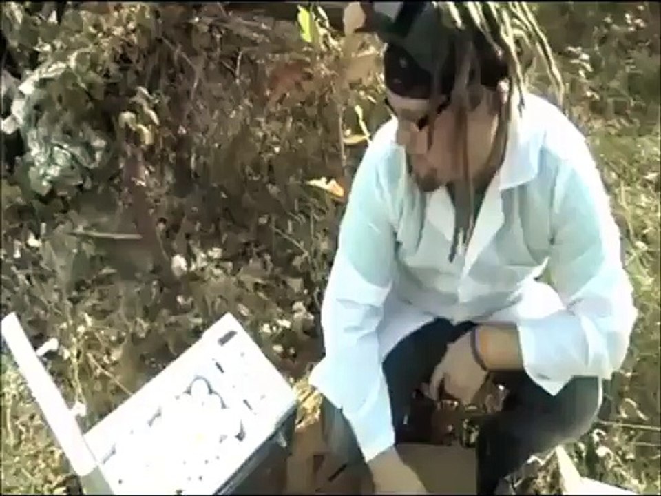 Il met 173 oeufs dans un micro-ondes ce qui le fait exploser