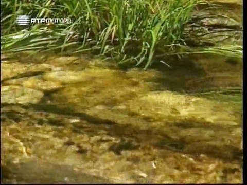 Horizontes da Memória - Vila do Conde, Espraiada - 2001