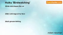 miken newman - Haiku 'Birdwatching'