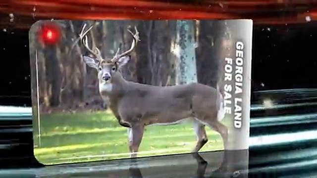 Harris County GA land for sale in Pine Mountain GA