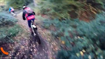 Slalom en foret verte