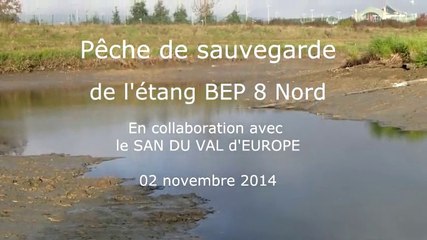 Pêche de sauvegarde - Etang BEP 8 Nord - Novembre 2014
