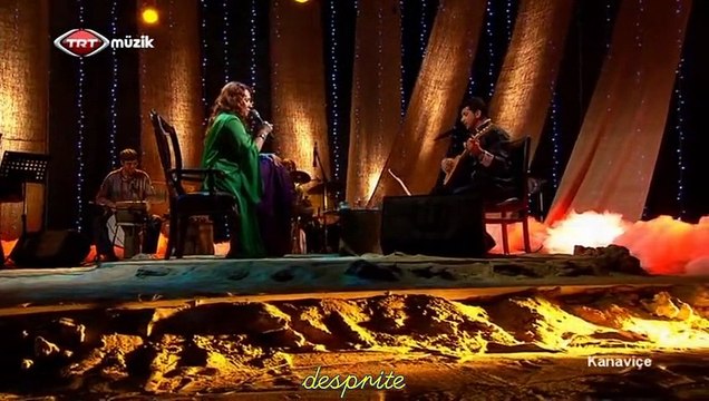 03 mircan kaya ümit yılmaz yeşil ördek gibi daldım göllere 08.04.2014 kanaviçe