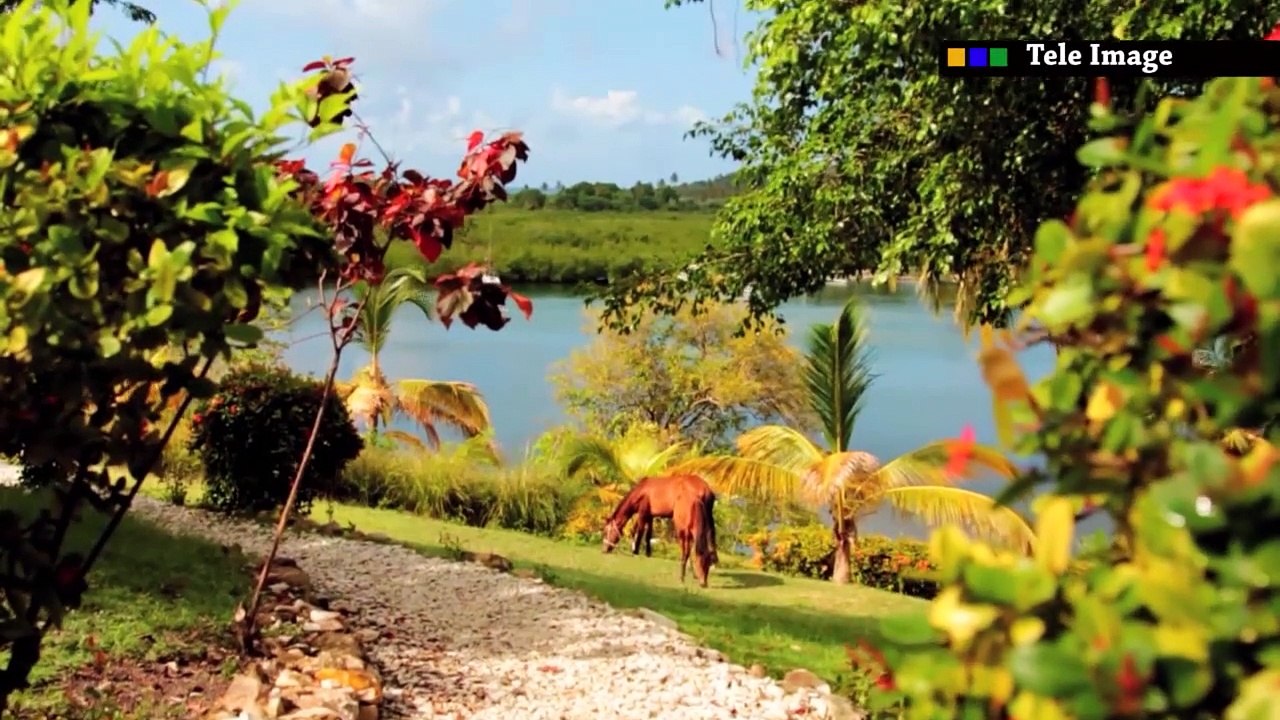 SPECIAL ILE A VACHE # 2, SABINE MALEBRANCHE PRESENTE LES PROJECTS DE DEVELOPPEMENT DE L'ILE