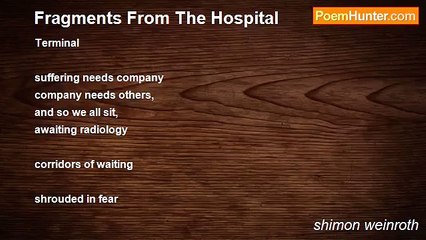 shimon weinroth - Fragments From The Hospital