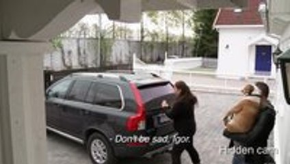 A Heartwarming Bulldog Love Story