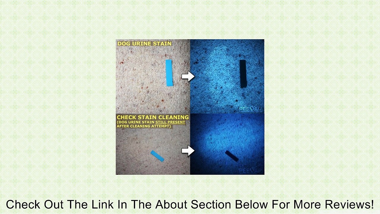 Pet Urine Detector Black Light Flashlight: PeeDar - Latest Precision UV LED Pee Finder Tool. Cats/Dogs/Other Animal Stains. Multiple Uses E.g. Home Improvement, Outdoors Scorpion Hunting. 365nm To 370nm Finds Invisible Urine Fast. Lifetime Guarantee!