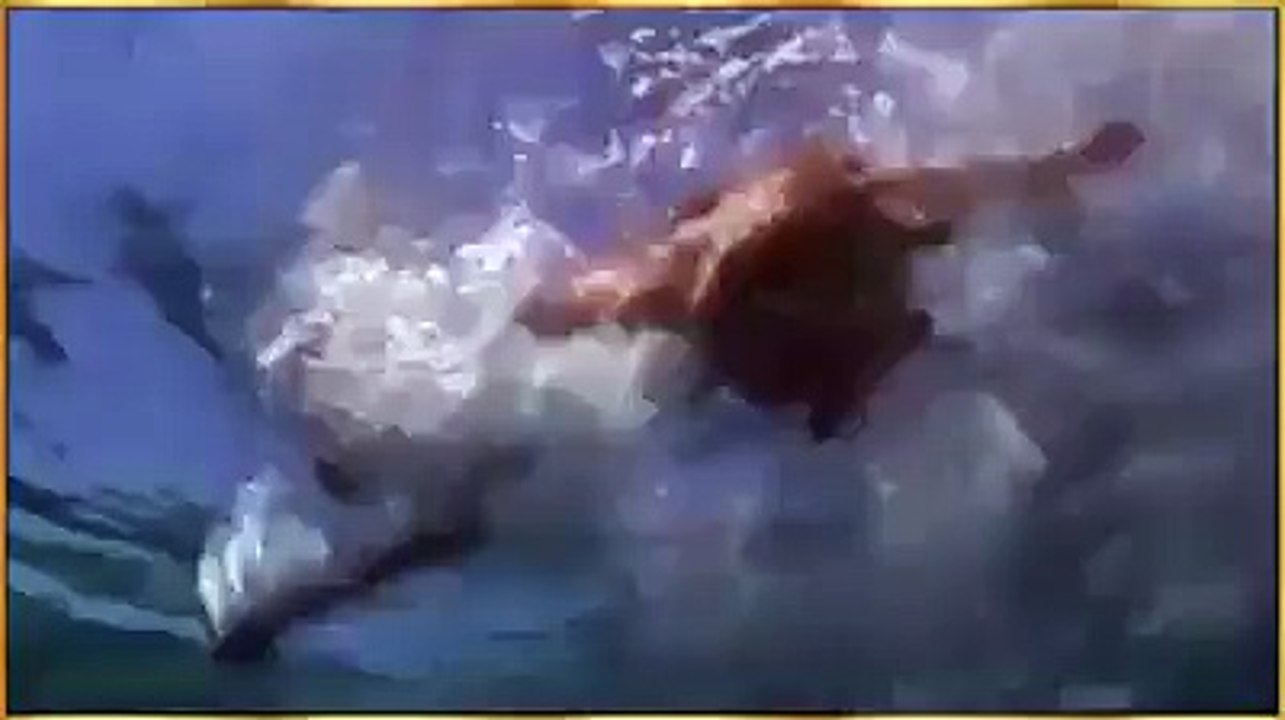 10463132_731206153599938_438288773_n