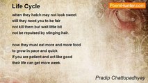 Pradip Chattopadhyay - Life Cycle