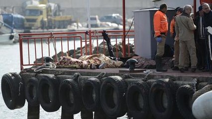 Dozens drown after boat sinks near Turkey