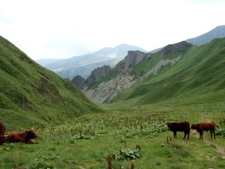 Le Puy de Sancy 210