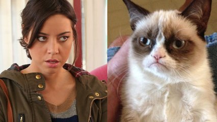 The Grumpy Cat Movie Looks Sort Of Awful, Sort Of Amazing