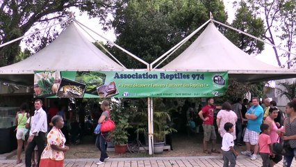 Florilèges 2014 : Les serpents