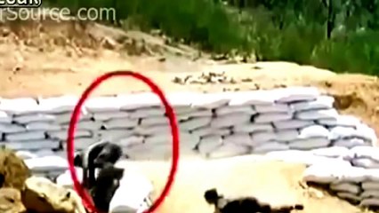Best Funny Soldier Accidents Compilation 2014 - Best of Army Fail Clips