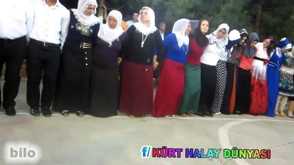 MARDİN HALAYLARI DEHŞETUL WEHŞET