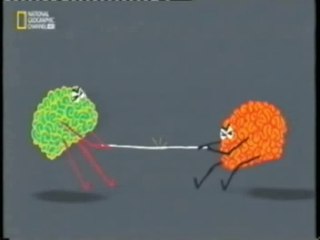 Cerebro emocional: Decisiones arriesgadas