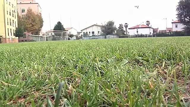 ABBIAMO CHIESTO AIUTO MA NON E' ARRIVATO NESSUNO