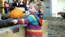 The Great Pumpkin Rescue - The First Oxford Pumpkin Festival