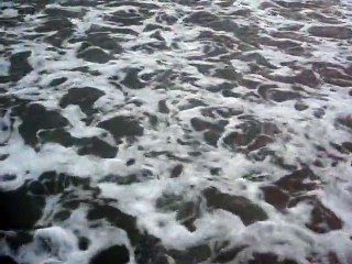 Praia da Enseada, Ubatuba, SP, Brasil, Marcelo Ambrogi, Saúde e Vida, 009