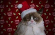Grumpy Cat a son film de Noël [VOSTFR]